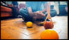 stop motion